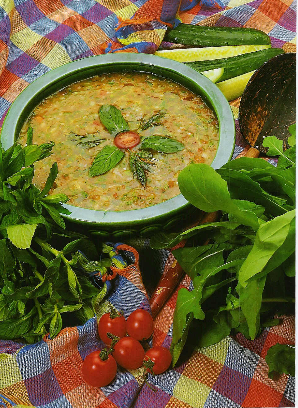 turkish italian soup vegetarian