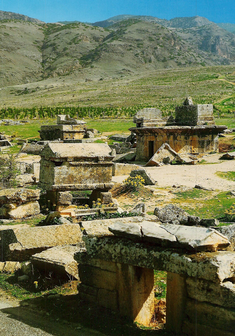 ancient cemetery necropolis